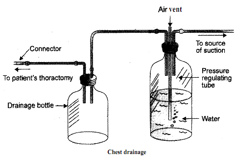 424_Administer Accurate and Appropriate Antibiotics.png